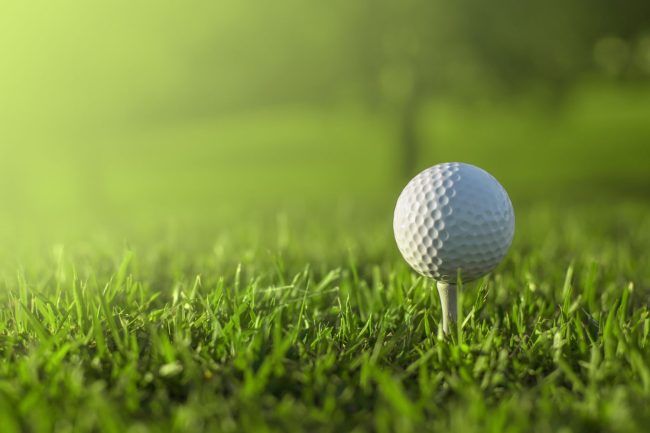 Sobha Karma Lakeland Golf Residences sector 80 Gurgaon Sobha Karma Lakeland Golf Residences sector 80 Gurgaon