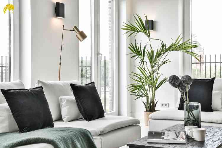 Whiteland Westin Residences: Redefining Luxury at Sector 103, Gurugram